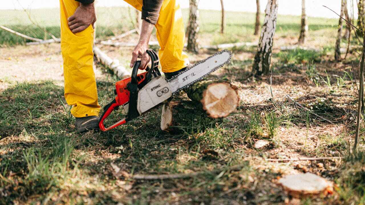 Best Large Tree Removal  in Glasgow Village, MO